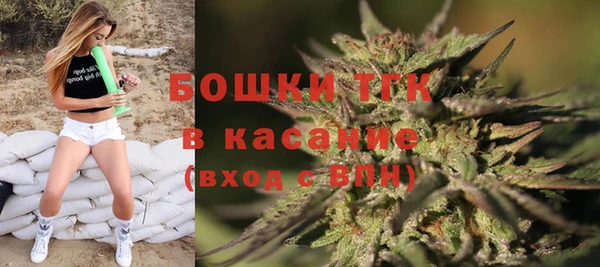 хмурый Пестово